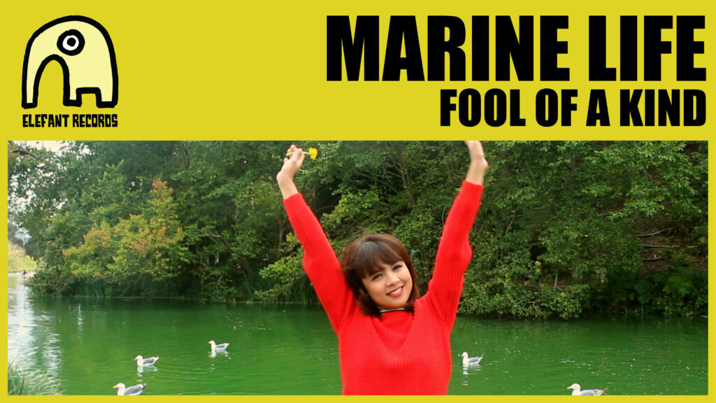 Imagen destacada de video: Fool Of A Kind [Video-Clip]